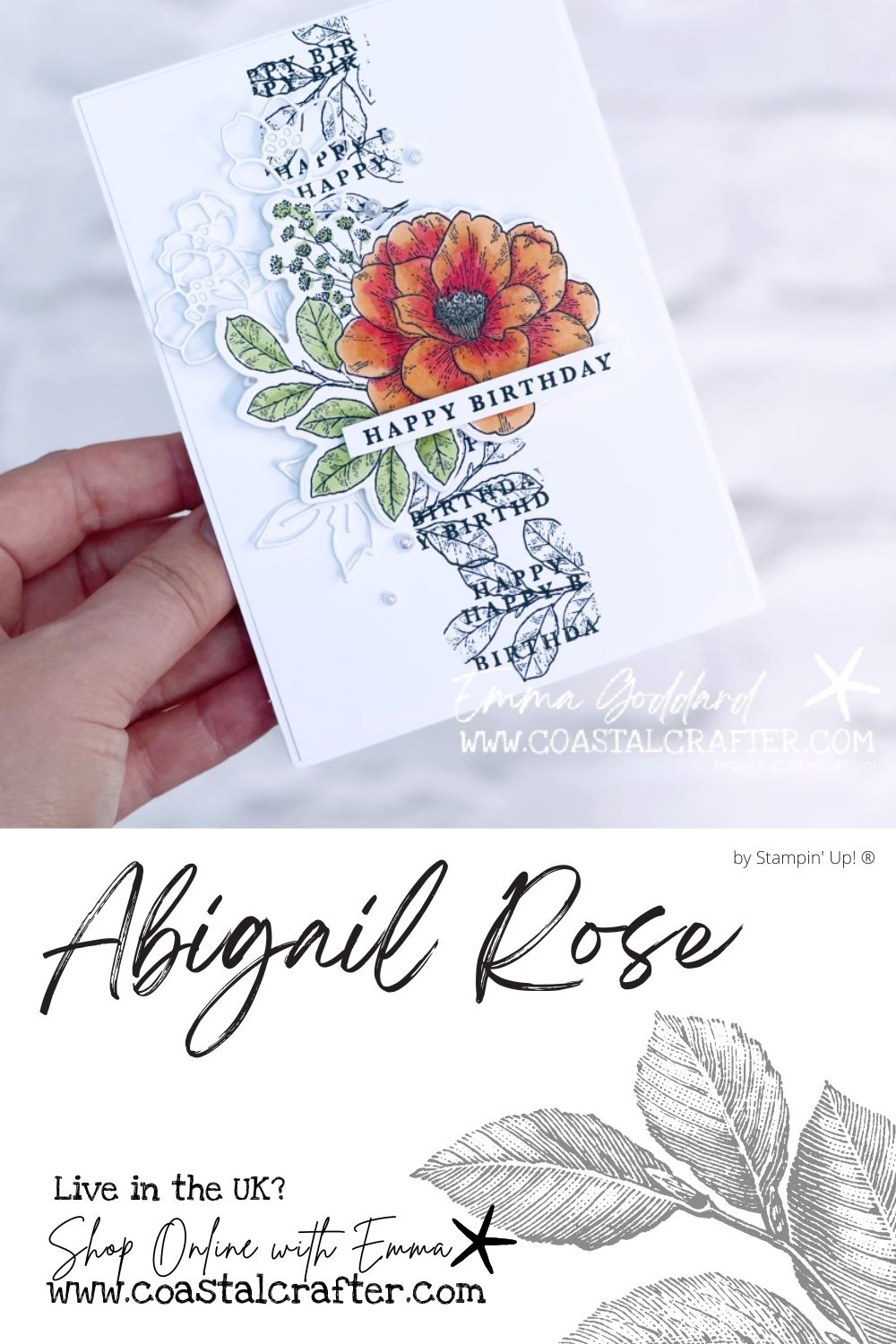 Abigail Rose Tutorial Bundle