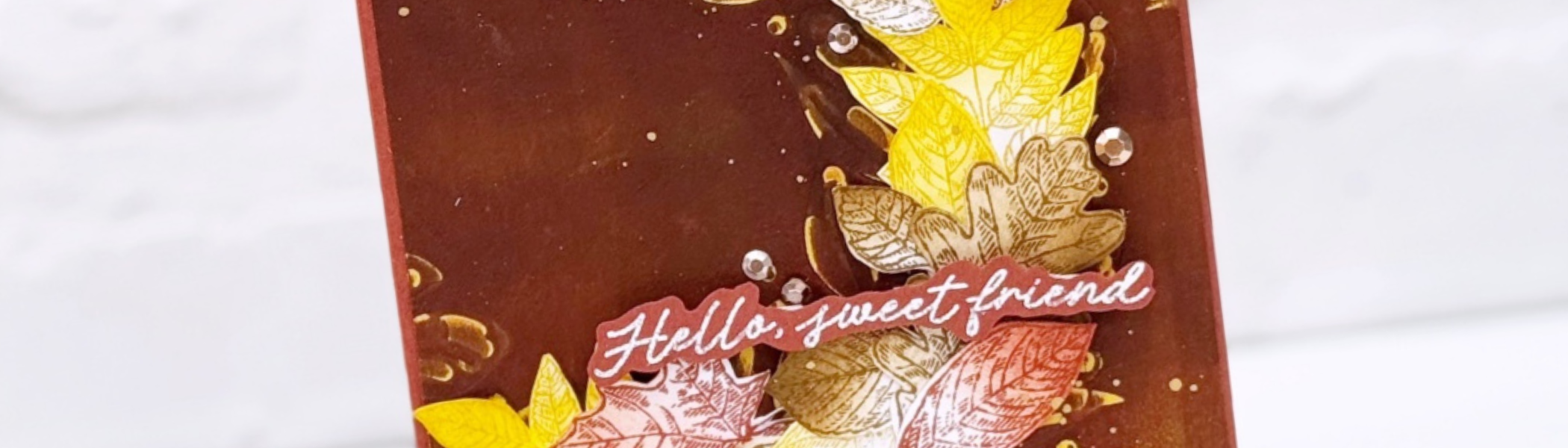 Global Design Project – Colour Combo